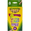 Crayola Write Start® Colored Pencils, PK48 BIN684108